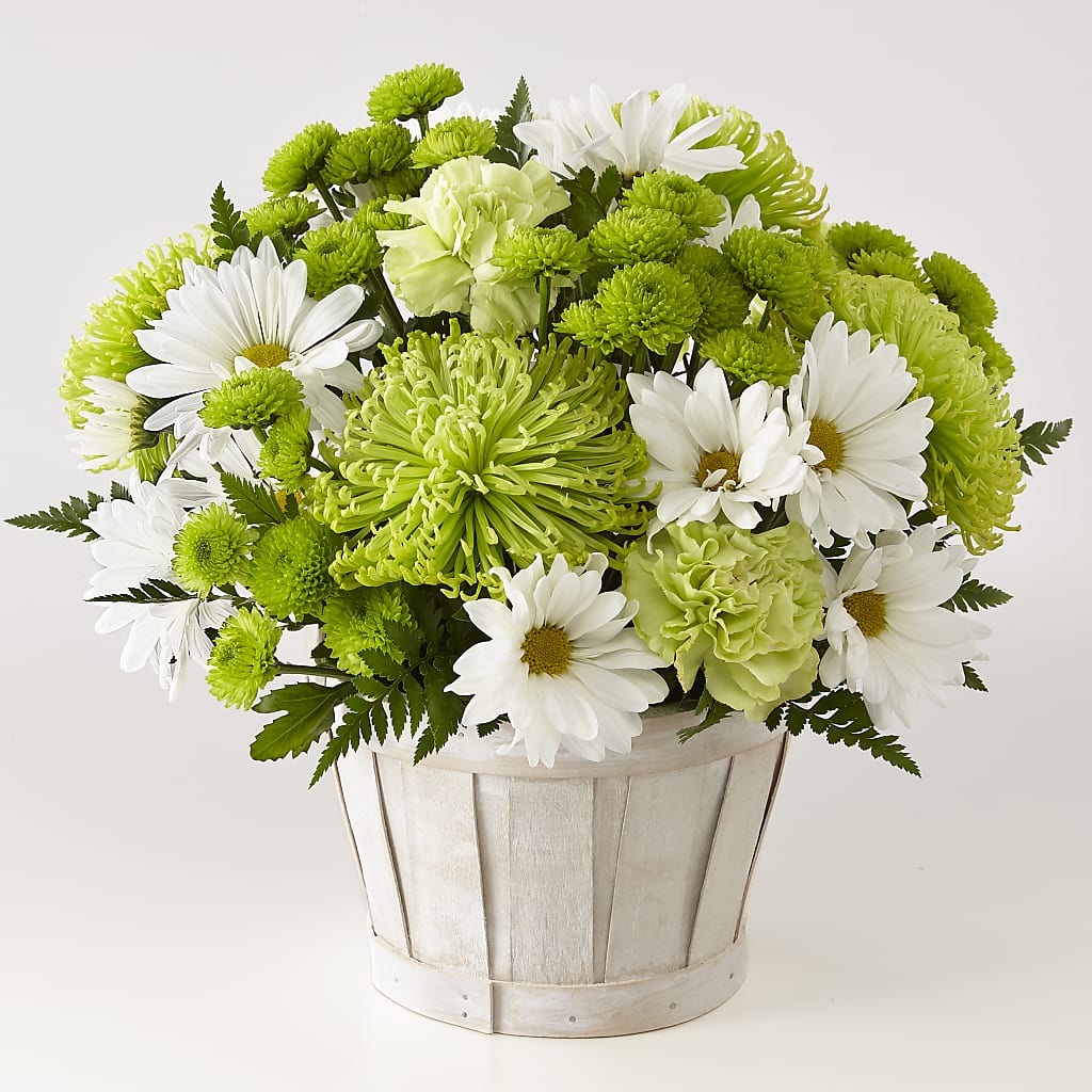 Lucky Charm Basket (Standard) – Olas Flower, Bothell WA