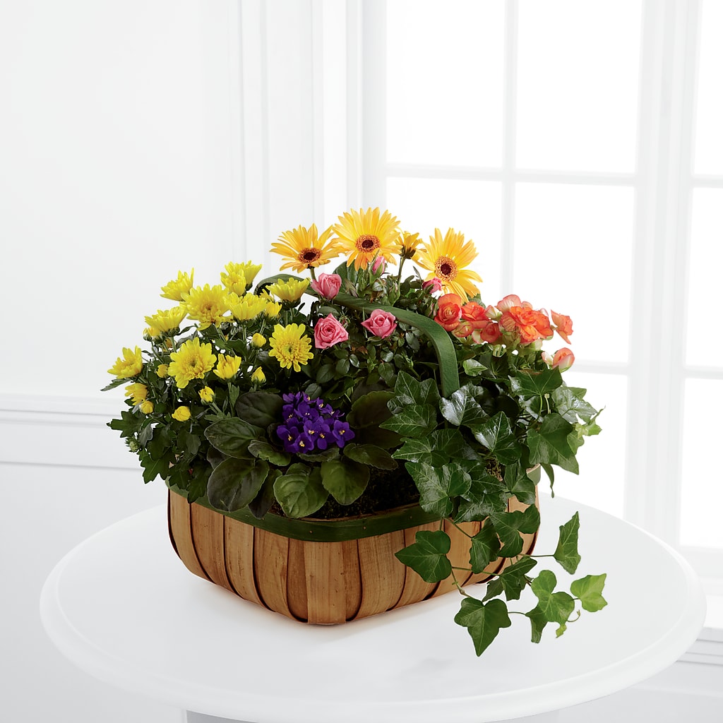 Gentle Blossoms Basket – Olas Flower, Bothell WA