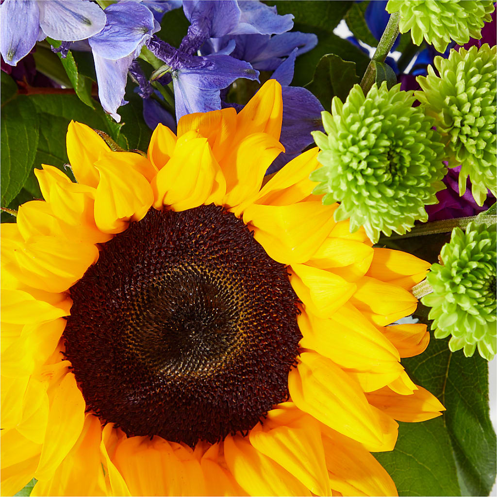 Catching Rays Bouquet – Olas Flower, Bothell WA