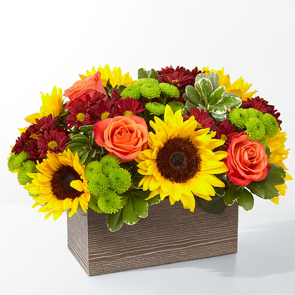 Happy Harvest Garden – Olas Flower, Bothell WA