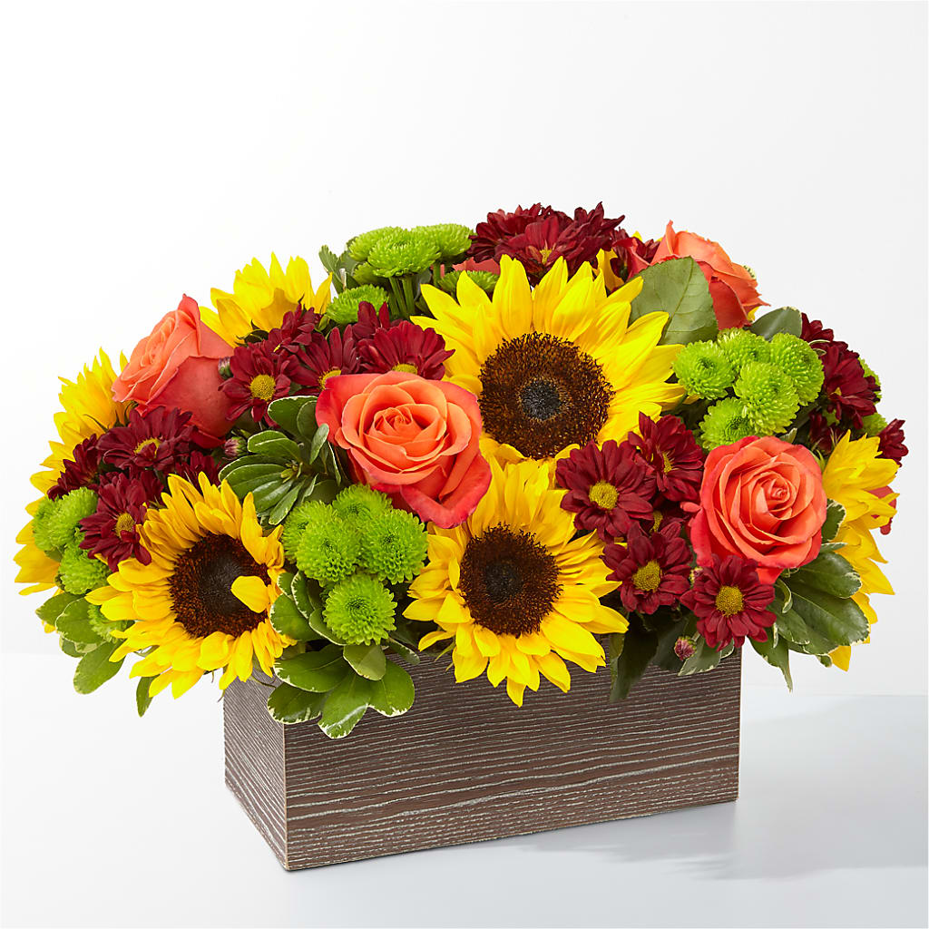 Happy Harvest Garden – Olas Flower, Bothell WA
