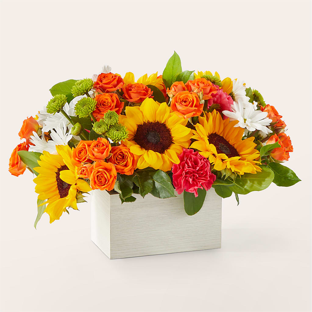 Sun-drenched Blooms Box Bouquet – Olas Flower, Bothell WA