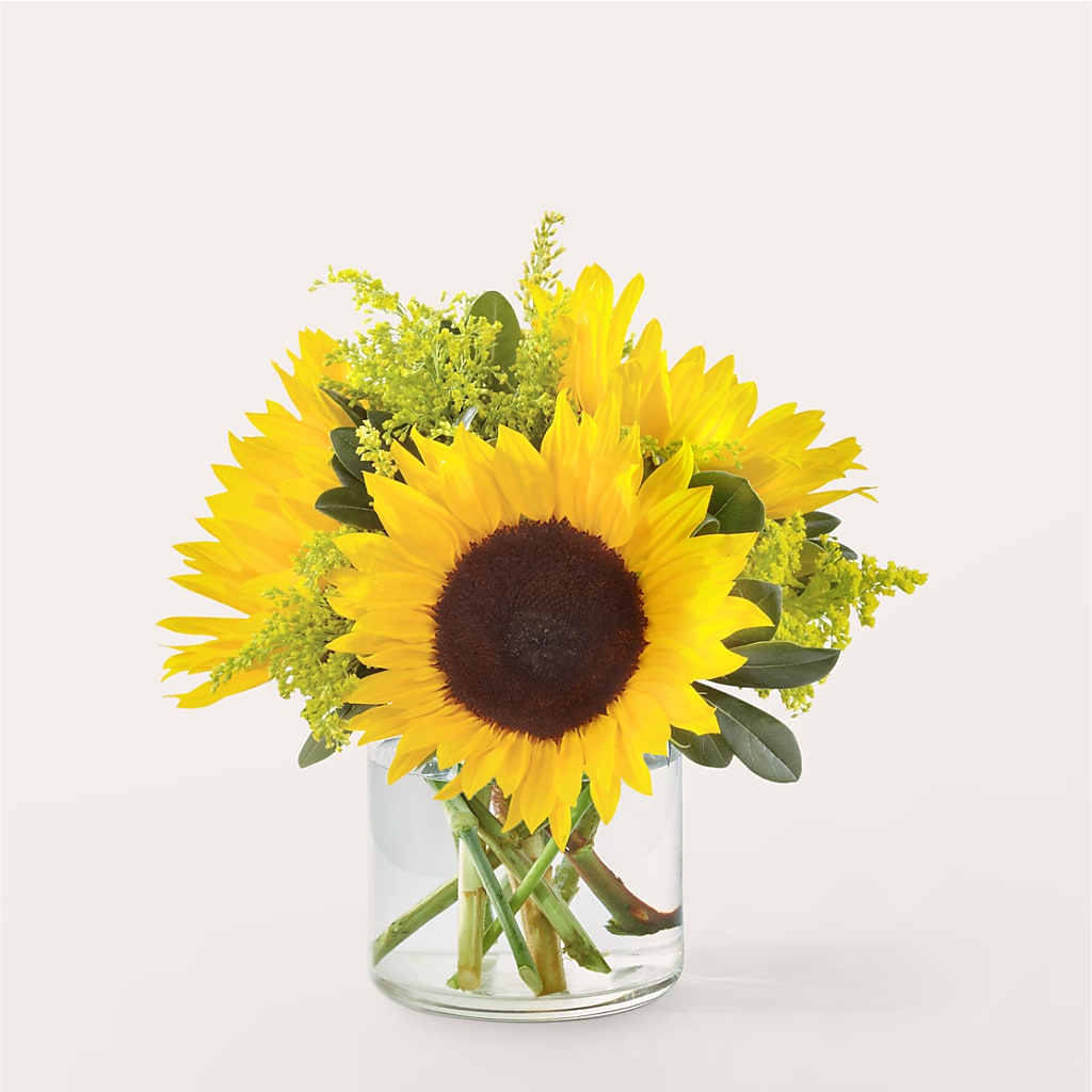 Beaming Sunflower Bouquet – Olas Flower, Bothell WA