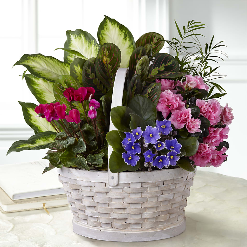 Peaceful Garden Planter – Olas Flower, Bothell WA