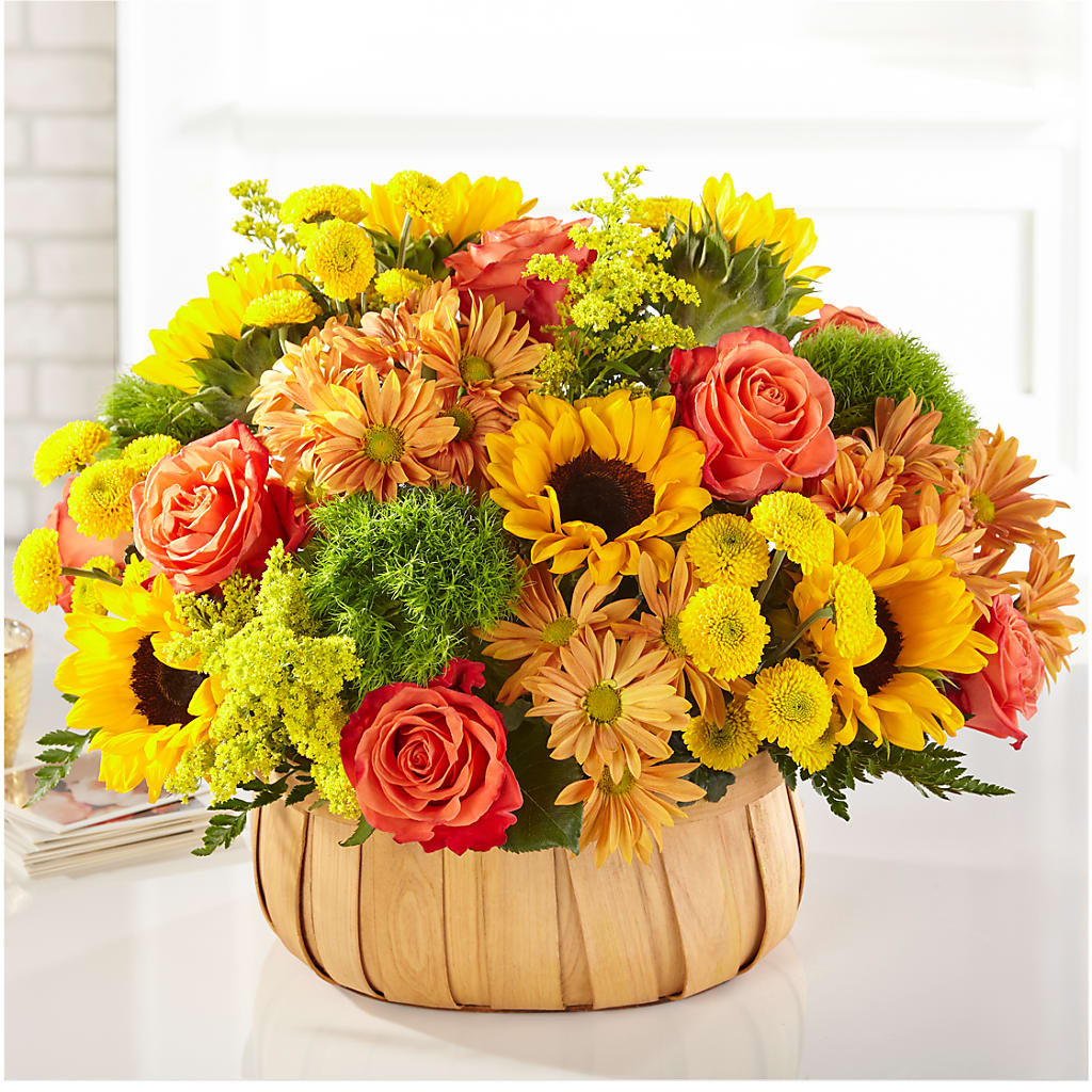 Harvest Sunflower Basket – Olas Flower, Bothell WA