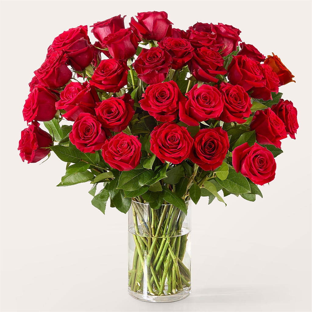 The One Red Rose Bouquet – Olas Flower, Bothell WA