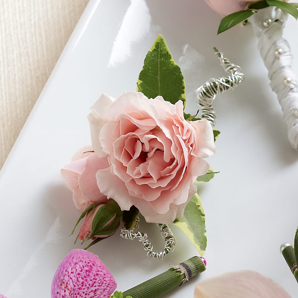 Pink Spray Rose Boutonniere – Olas Flower, Bothell WA