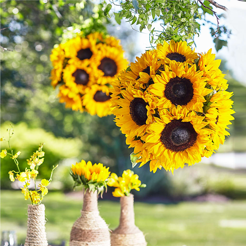 Sublime Garden Hanging Arrangement – Olas Flower, Bothell WA
