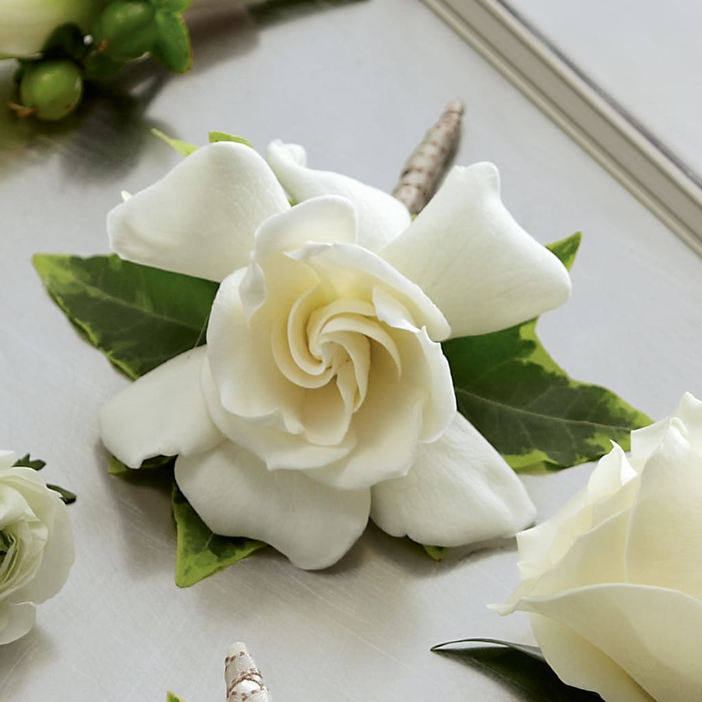 Gardenia Boutonniere – Olas Flower, Bothell WA