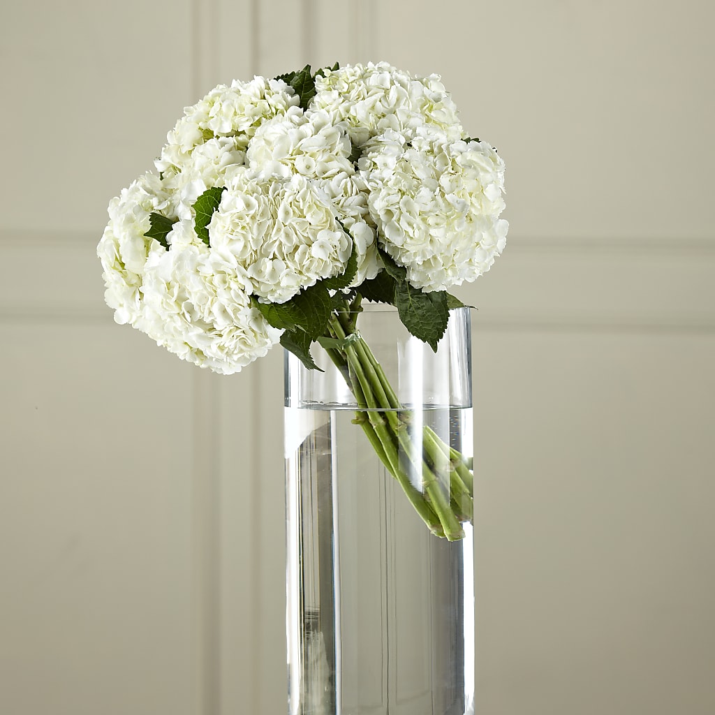 White Hydrangea Hand-Tied Bouquet – Olas Flower, Bothell WA