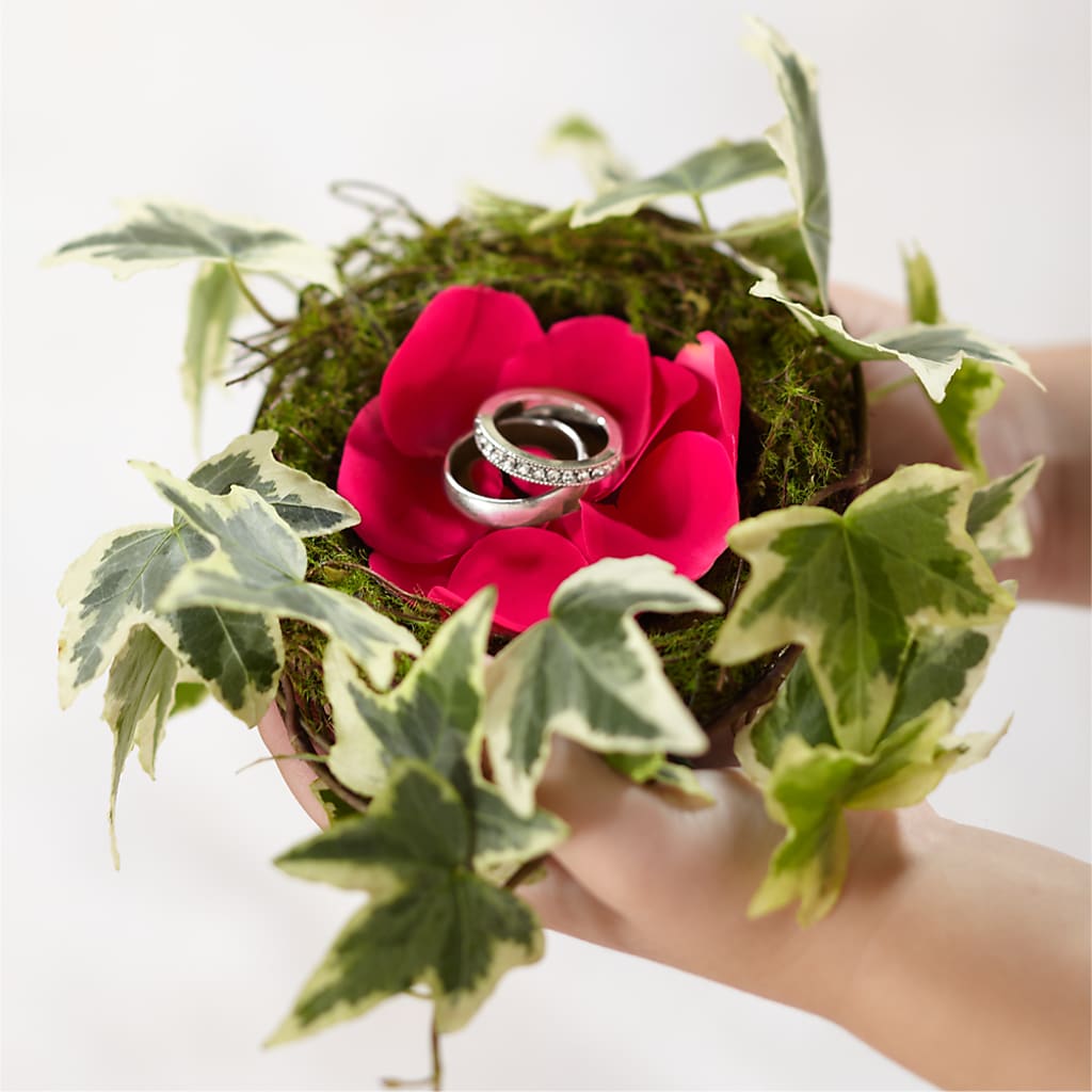 Lila Rose Ring Nest – Olas Flower, Bothell WA