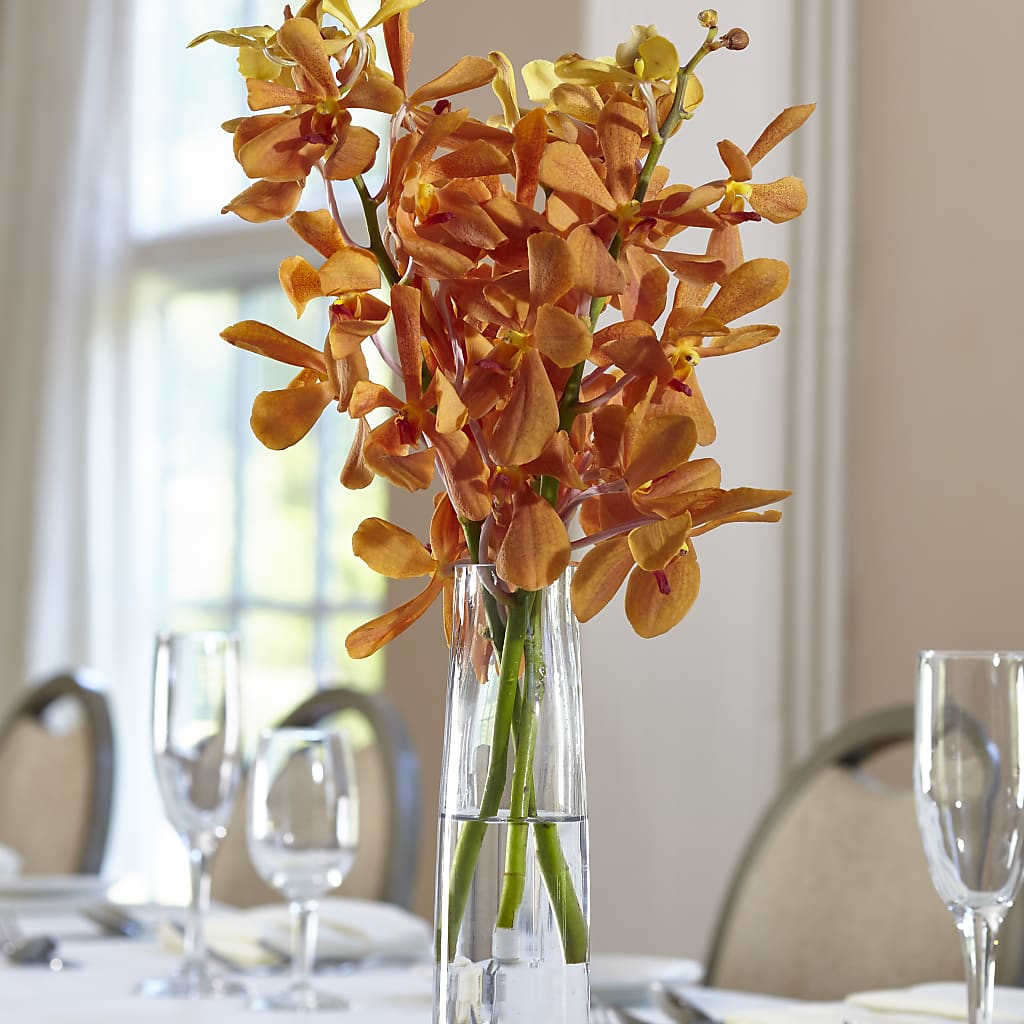 Orange Mokara Bud Vase – Olas Flower, Bothell WA