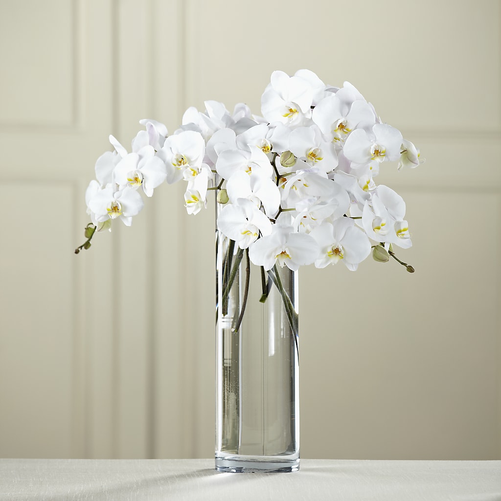 White Phalaenopsis Bouquet – Olas Flower, Bothell WA