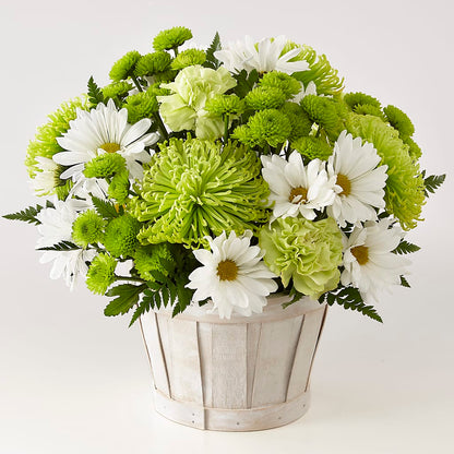 Lucky Charm Basket (Standard) –  Olas Flower, Bothell WA