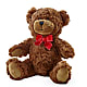 Adorable Plush Bear –  Olas Flower, Bothell WA