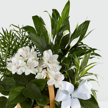 Peace & Serenity Dishgarden –  Olas Flower, Bothell WA
