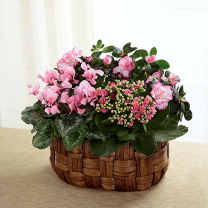 Pink Assortment –  Olas Flower, Bothell WA