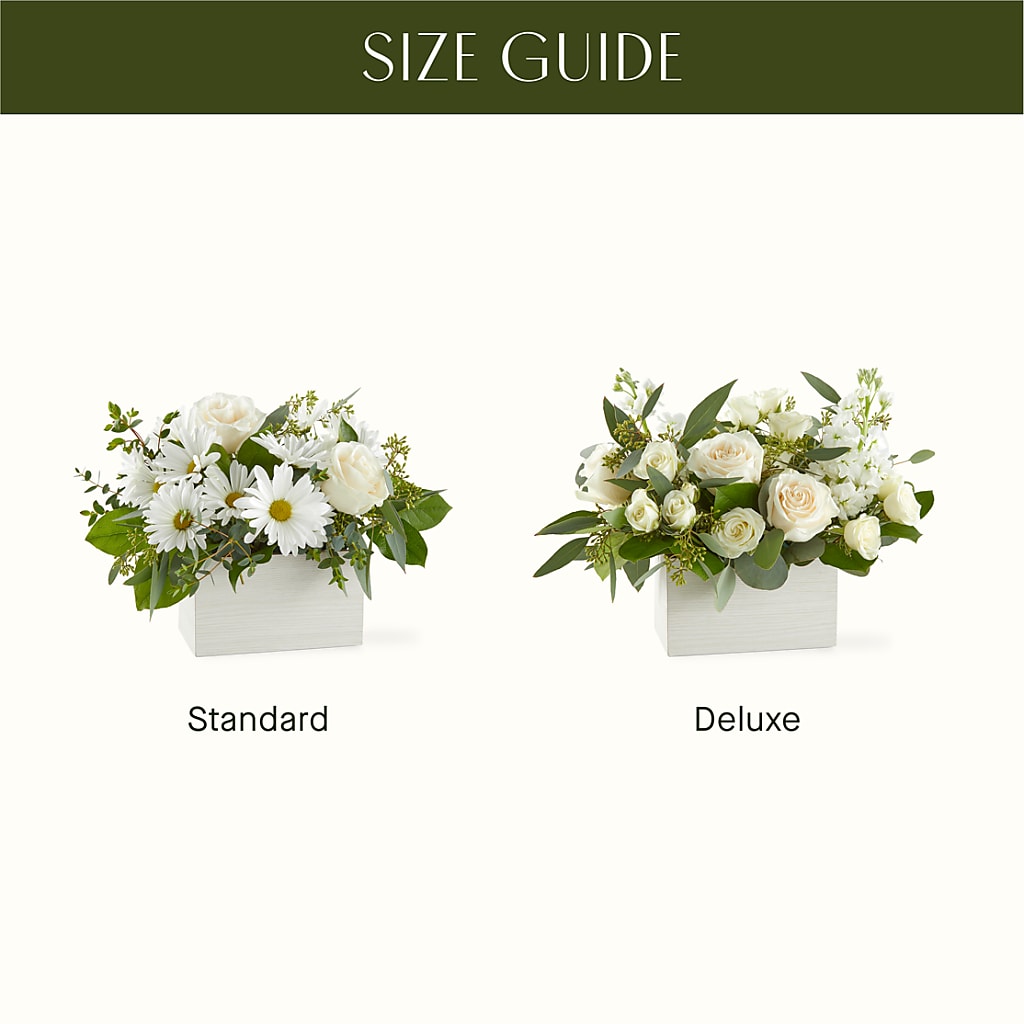 Fresh Linen Box Bouquet –  Olas Flower, Bothell WA
