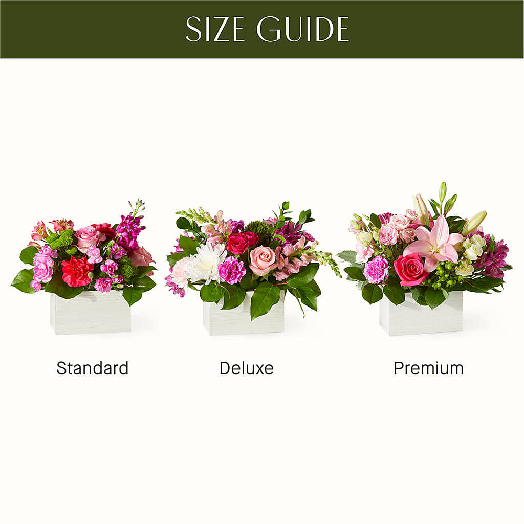 Sweetberry Box – A Florist Original –  Olas Flower, Bothell WA