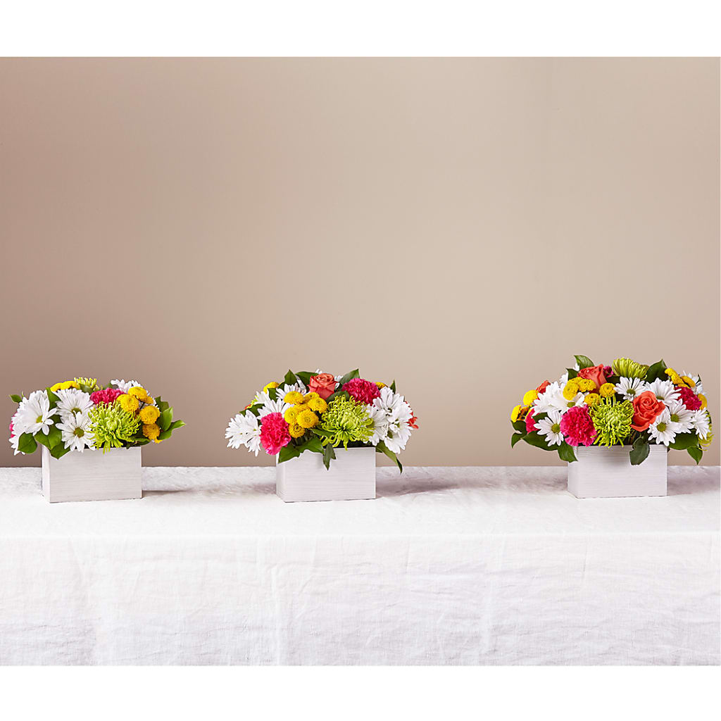 Sorbet Bouquet –  Olas Flower, Bothell WA