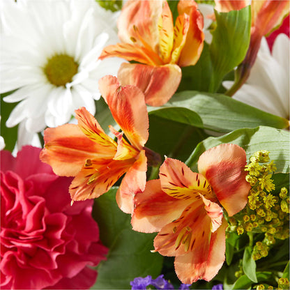 Oopsie Daisy Box Bouquet –  Olas Flower, Bothell WA