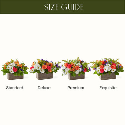 Oopsie Daisy Box Bouquet –  Olas Flower, Bothell WA