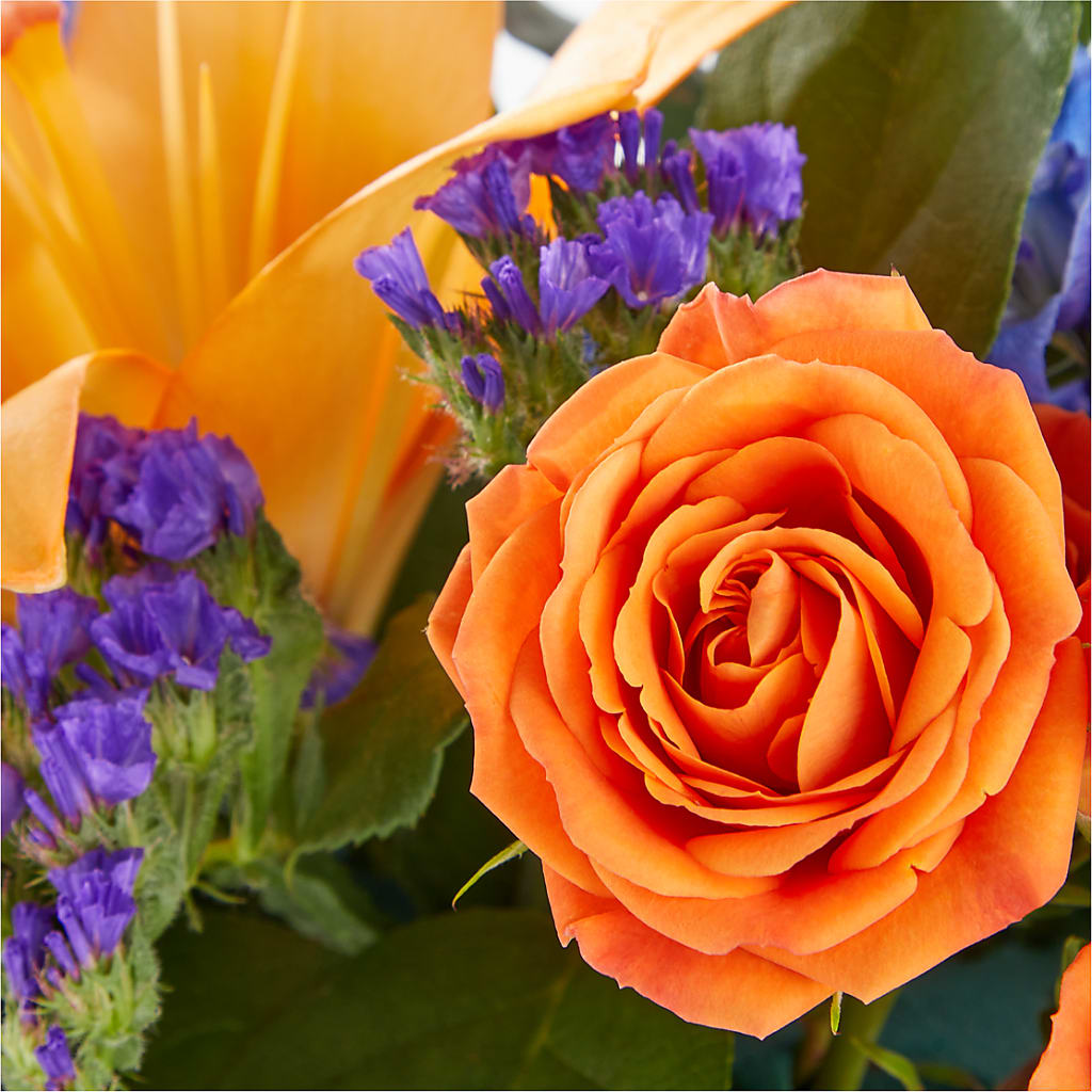 Radiant Citrus Box Bouquet –  Olas Flower, Bothell WA