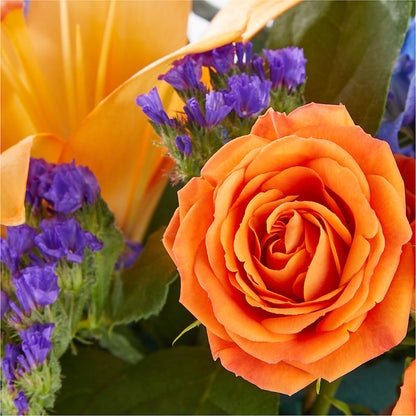 Radiant Citrus Box Bouquet –  Olas Flower, Bothell WA