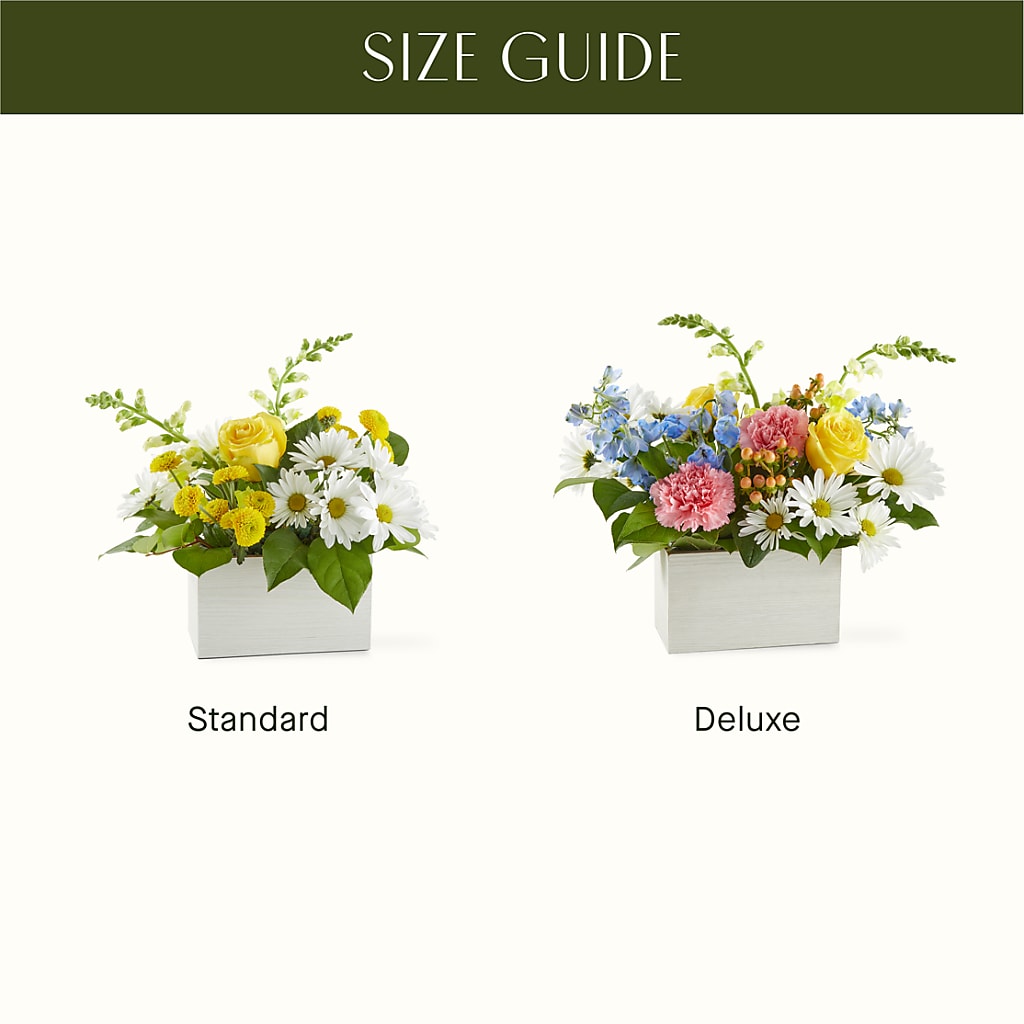 Sun Salutation Box Bouquet –  Olas Flower, Bothell WA