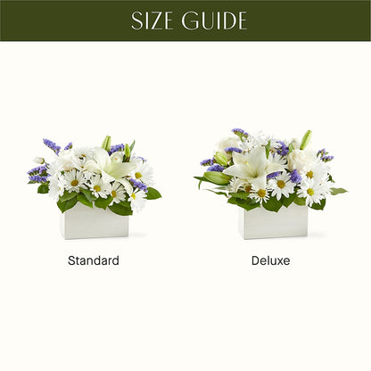 Beyond Blue Box Bouquet –  Olas Flower, Bothell WA