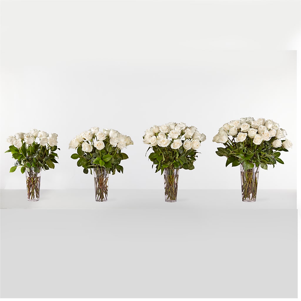 Long Stem White Rose Bouquet –  Olas Flower, Bothell WA