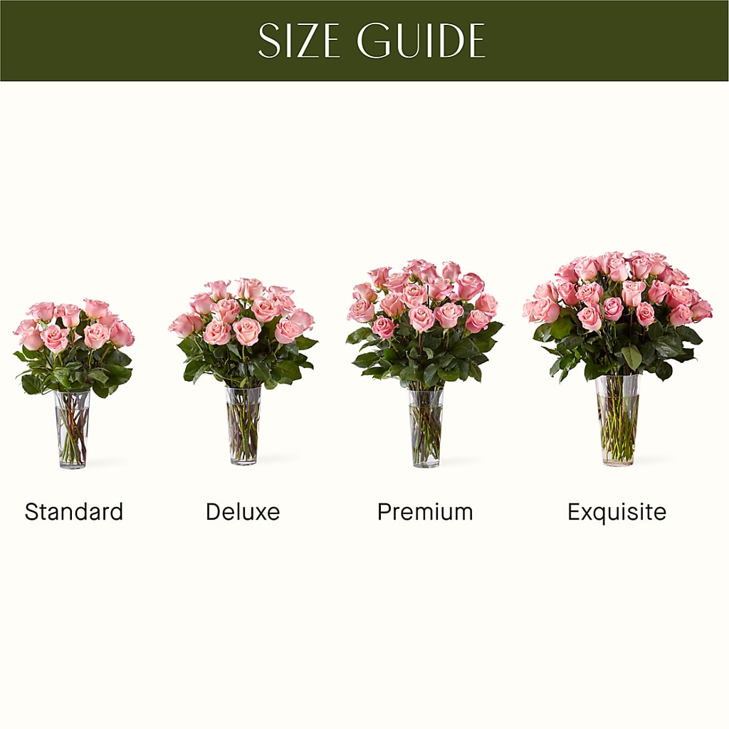 Long Stem Pink Rose Bouquet –  Olas Flower, Bothell WA