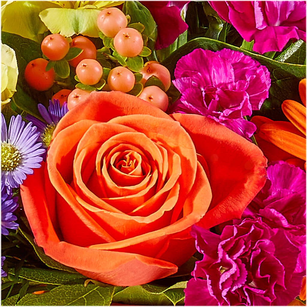 Tricks & Treats Pumpkin –  Olas Flower, Bothell WA