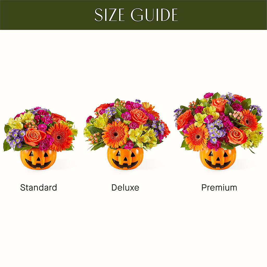 Tricks & Treats Pumpkin –  Olas Flower, Bothell WA