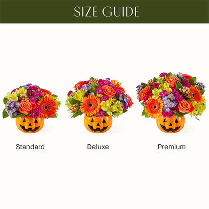 Tricks & Treats Pumpkin –  Olas Flower, Bothell WA