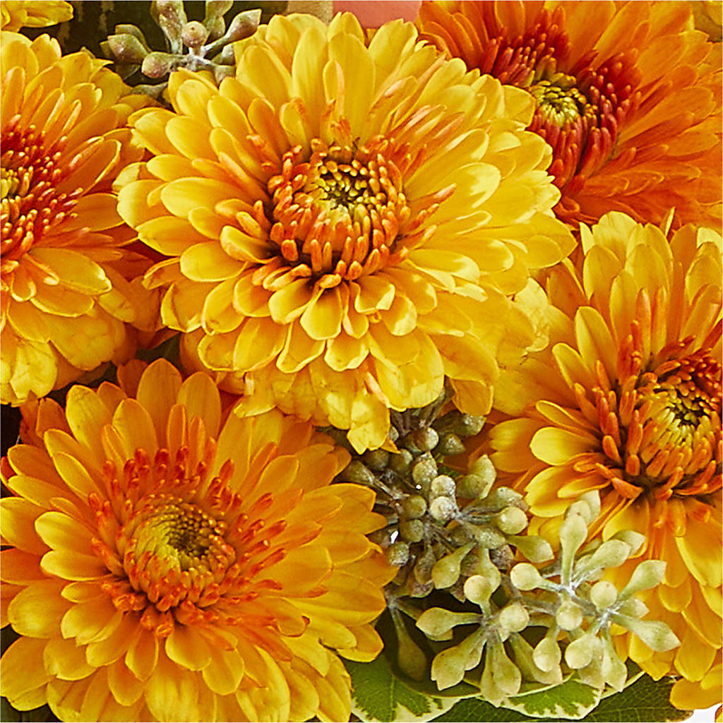 Peachy Pumpkin –  Olas Flower, Bothell WA