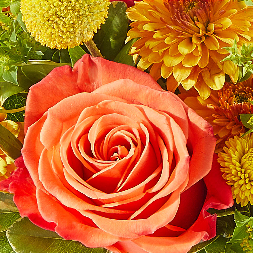 Gourdgeous Pumpkin –  Olas Flower, Bothell WA