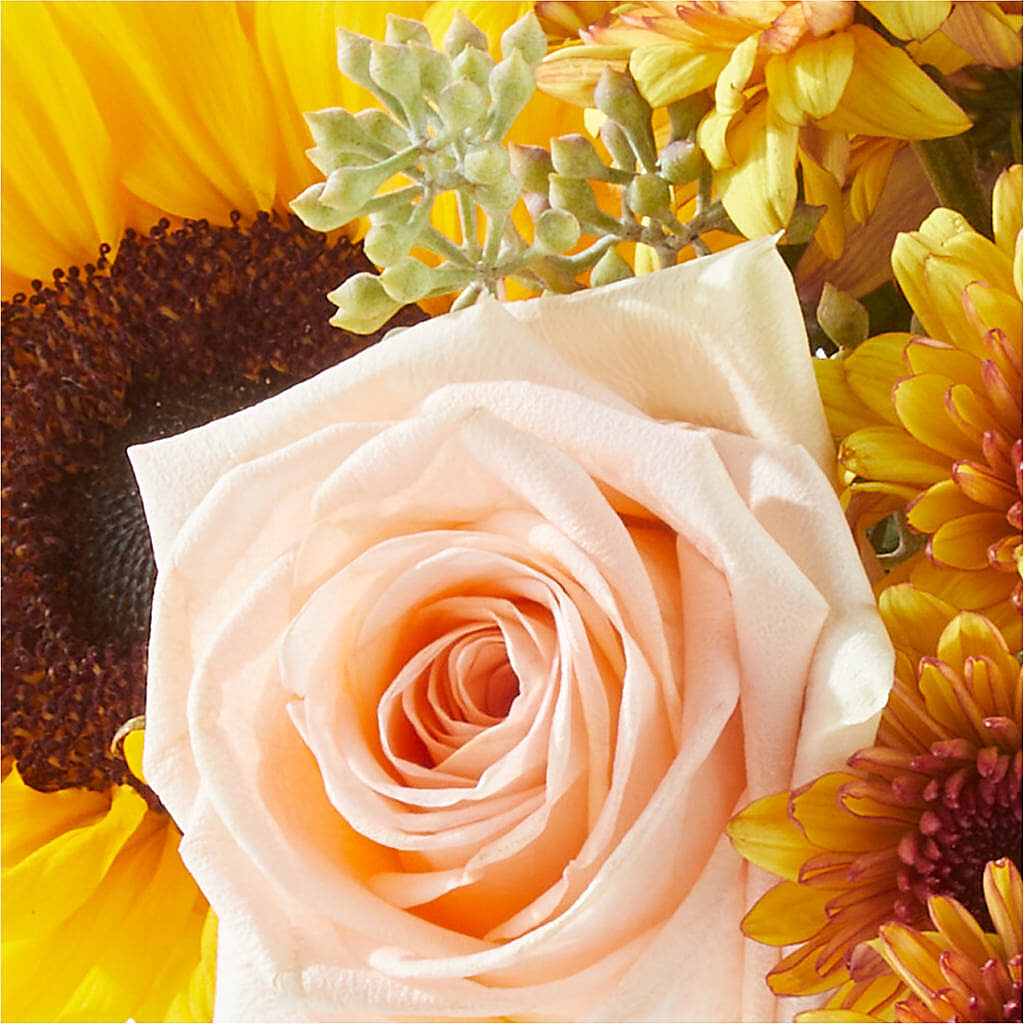 Pumpkin to Talk About Bouquet –  Olas Flower, Bothell WA