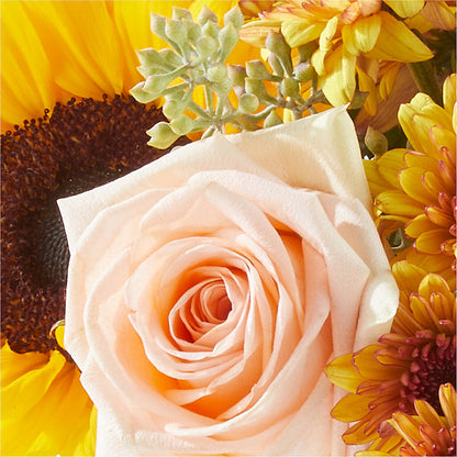 Pumpkin to Talk About Bouquet –  Olas Flower, Bothell WA