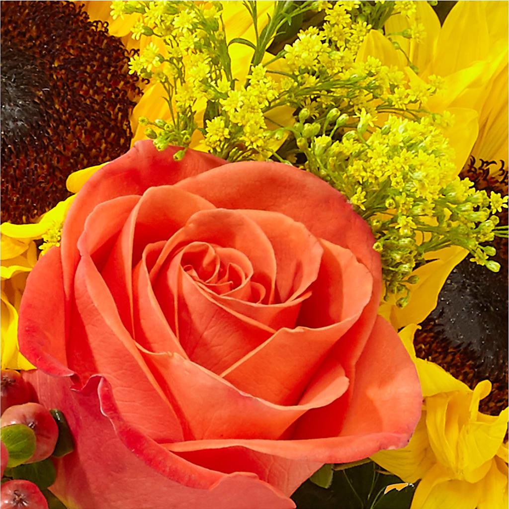 Pick of the Patch Pumpkin Bouquet –  Olas Flower, Bothell WA