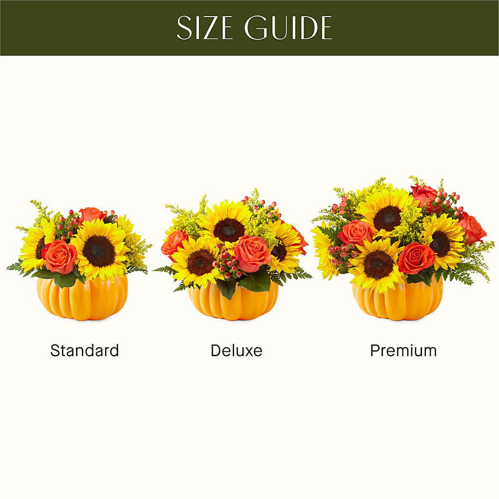 Pick of the Patch Pumpkin Bouquet –  Olas Flower, Bothell WA