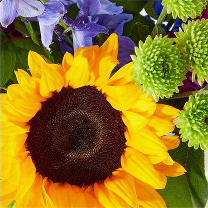 Catching Rays Bouquet –  Olas Flower, Bothell WA