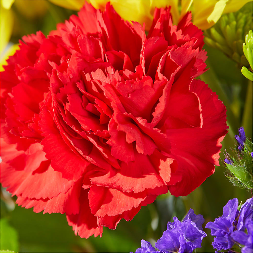 Brighter Days Bouquet –  Olas Flower, Bothell WA