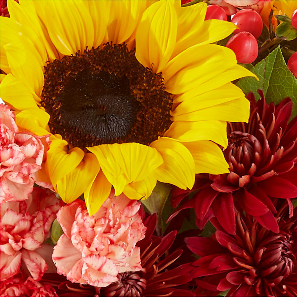 Fresh Cider Bouquet –  Olas Flower, Bothell WA