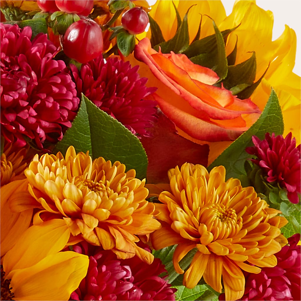 Sweater Season - A Florist Original –  Olas Flower, Bothell WA