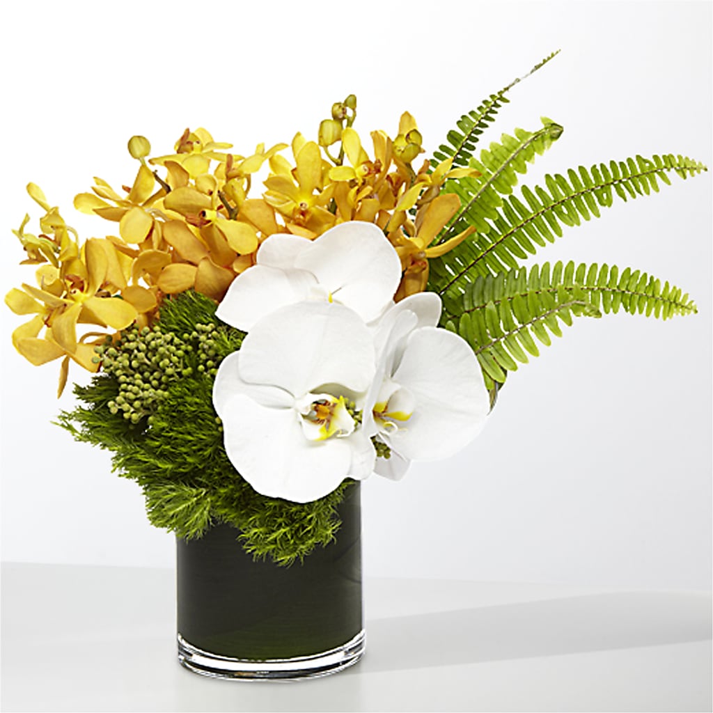 The Tropics –  Olas Flower, Bothell WA