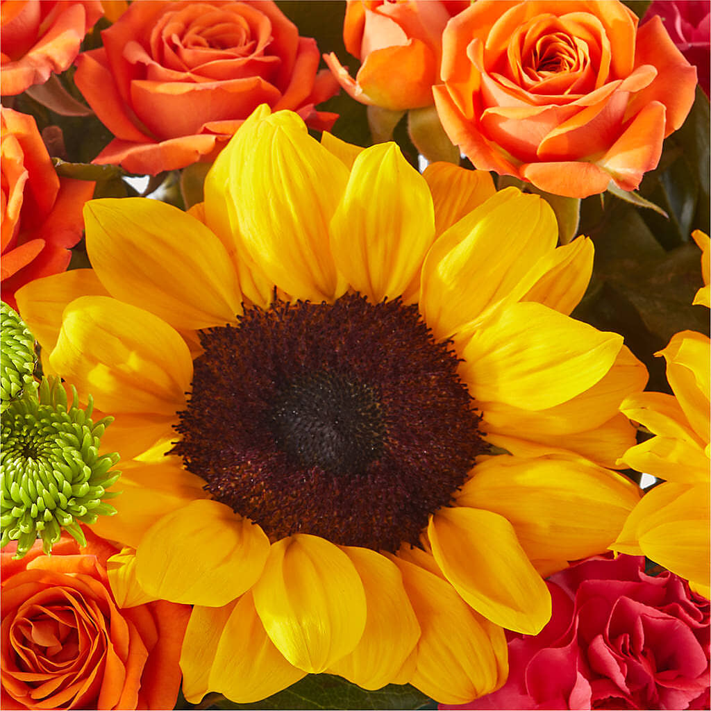 Sun-drenched Blooms Box Bouquet –  Olas Flower, Bothell WA