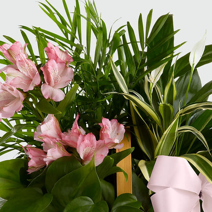 Living Spirit Dishgarden –  Olas Flower, Bothell WA