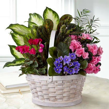 Peaceful Garden Planter –  Olas Flower, Bothell WA