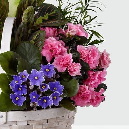 Peaceful Garden Planter –  Olas Flower, Bothell WA